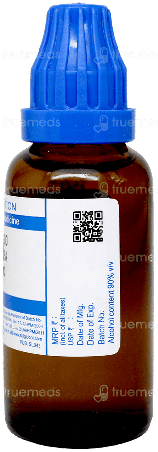 Sbl Ginkgo Biloba 200c Dilution 30ml