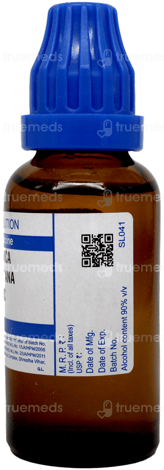 Sbl Arnica Montana 6c Dilution 30ml