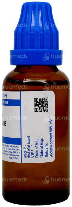Sbl Ruta Graveolens 6C Dilution 30Ml