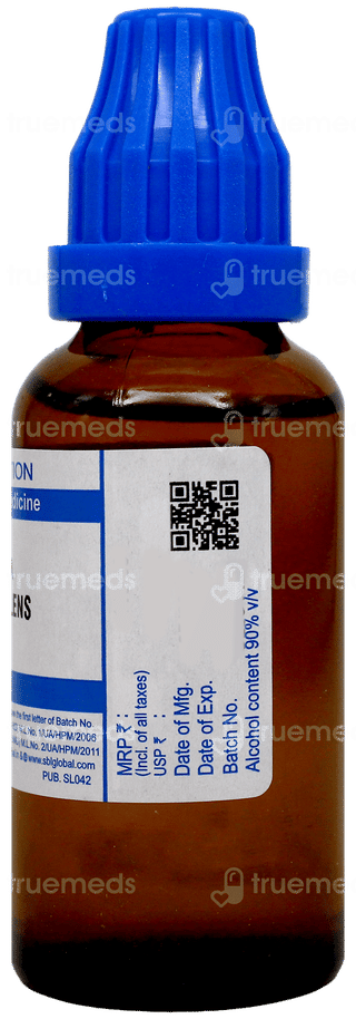 Sbl Ruta Graveolens 6C Dilution 30Ml
