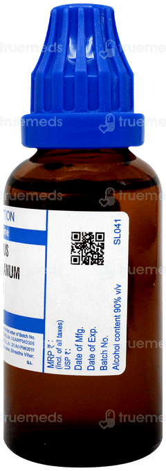 Sbl Aesculus Hippocastanum 1000 C Dilution 30 ML