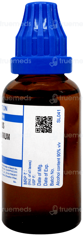 Sbl Aesculus Hippocastanum 1000 C Dilution 30 ML