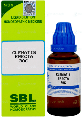 Sbl Clematis Erecta 30c Dilution 30ml