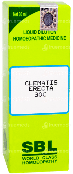 Sbl Clematis Erecta 30c Dilution 30ml