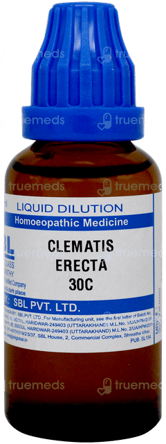 Sbl Clematis Erecta 30c Dilution 30ml