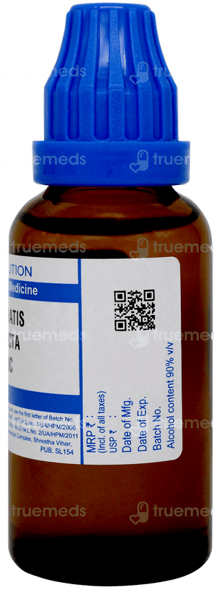 Sbl Clematis Erecta 30c Dilution 30ml