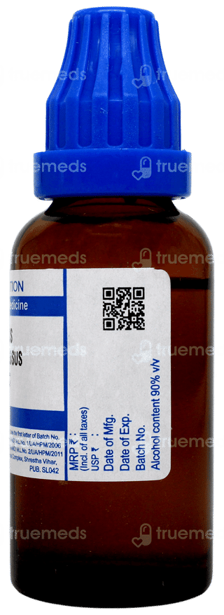 Sbl Fucus Vesiculosus 30c Dilution 30ml