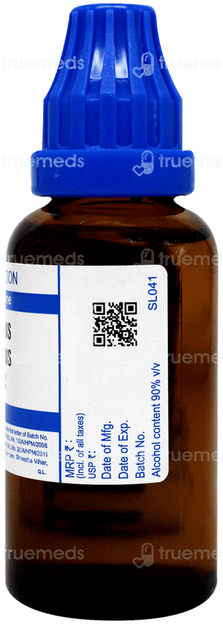 Sbl Berberis Vulgaris 1000 C Dilution 30 ML
