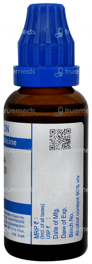 Sbl Cinchona Officinalis 30c Dilution 30ml