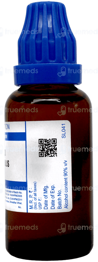 Sbl Carbo Vegetabilis 6c Dilution 30ml