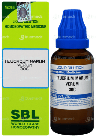 Sbl Teucrium Marum Verum 30c Dilution 30ml