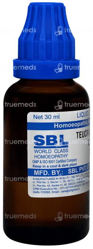 Sbl Teucrium Marum Verum 30c Dilution 30ml