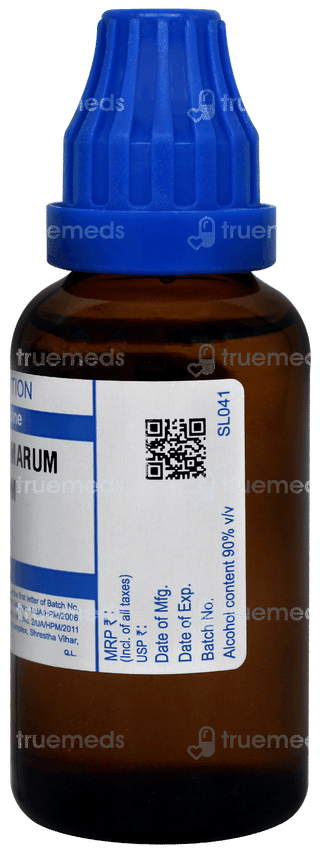 Sbl Teucrium Marum Verum 30c Dilution 30ml