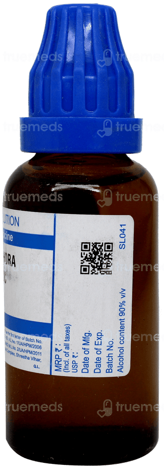Sbl Camphora 200c Dilution 30ml