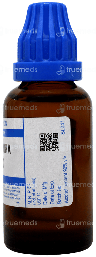 Sbl Camphora 30c Dilution 30ml