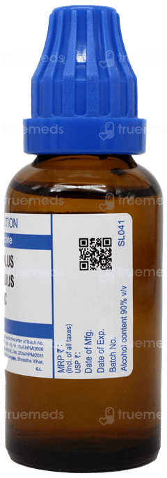 Sbl Crotalus Horridus 200 C Dilution 30 ML