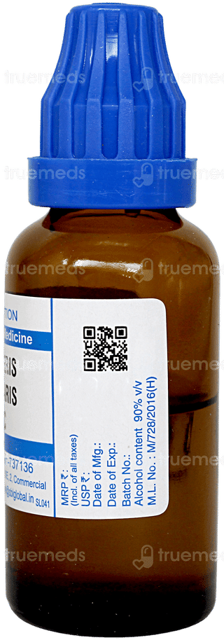 Sbl Berberis Vulgaris 30c Dilution 30ml