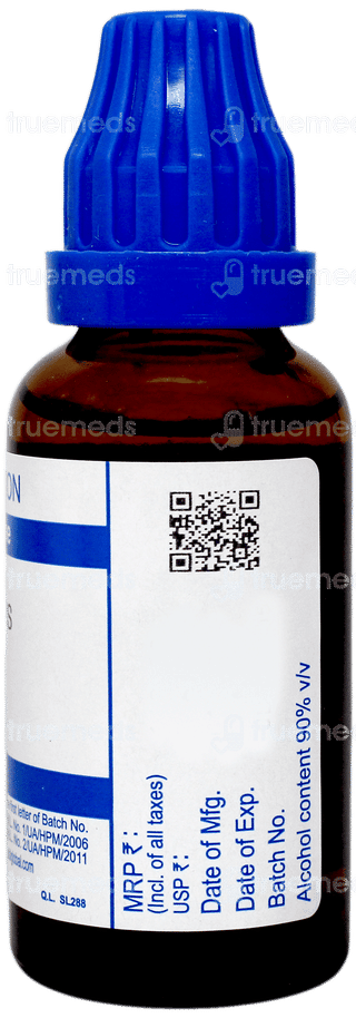 Sbl Lachesis 30 C Dilution 30 ML