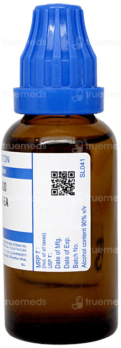 Sbl Solidago Virgaurea 30c Dilution 30ml