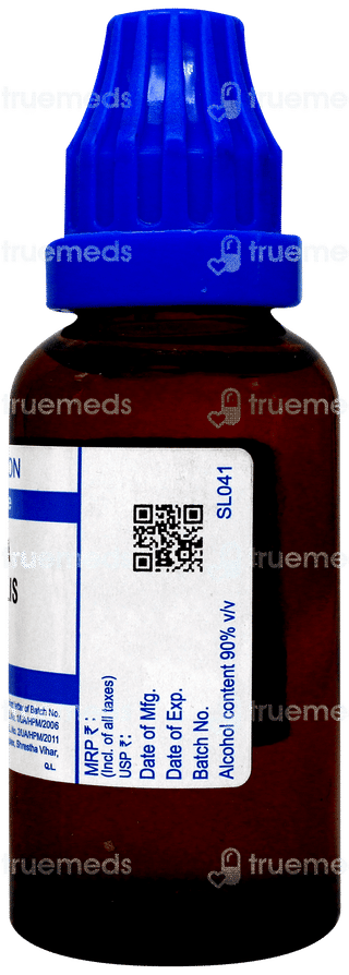 Sbl Paeonia Officinalis 200c Dilution 30ml