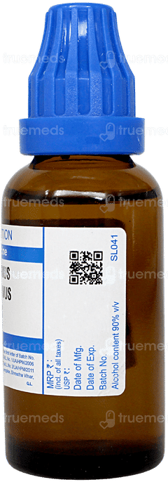 Sbl Mercurius Corrosivus 200c Dilution 30ml