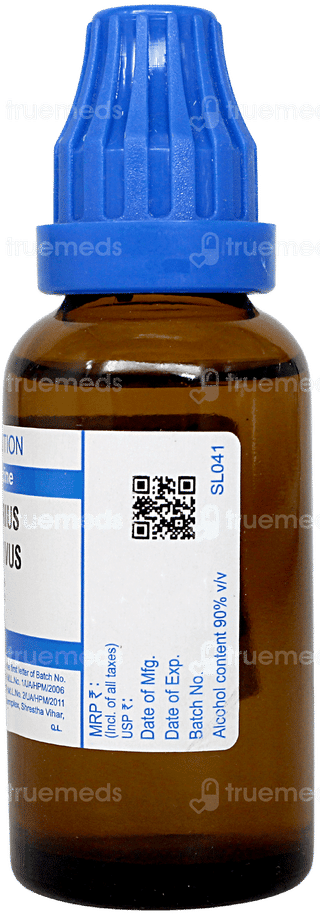 Sbl Mercurius Corrosivus 200c Dilution 30ml