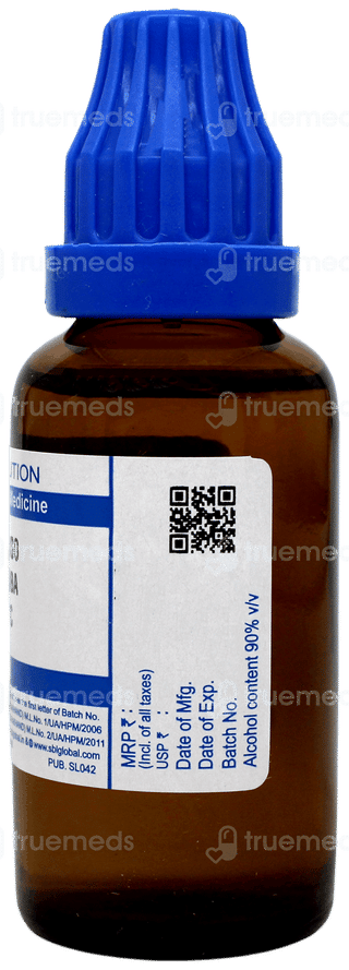 Sbl Ginkgo Biloba 30 C Dilution 30 ML