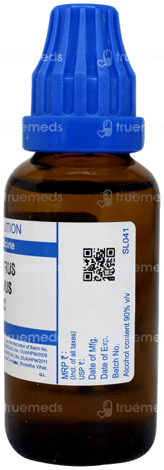 Sbl Lathyrus Sativa 30 C Dilution 30 ML Sbl Lathyrus Sativa 30 C Dilution 30 ML