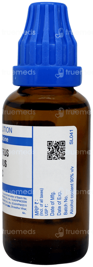 Sbl Lathyrus Sativa 30 C Dilution 30 ML
