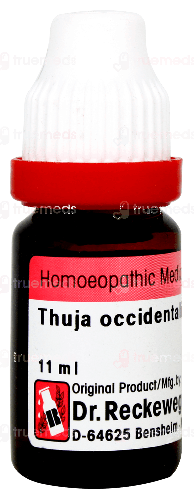 Dr Reckeweg Thuja Occidentalis 1m Dilution 11 Ml - Uses, Side Effects,  Dosage, Price | Truemeds