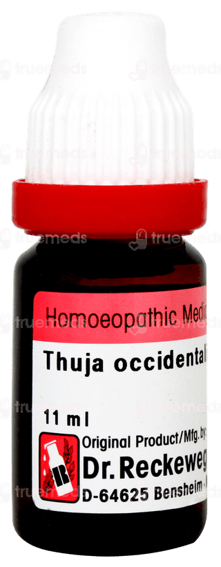 Dr Reckeweg Thuja Occidentalis 1m Dilution 11ml