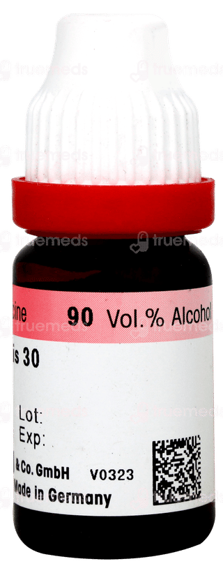 Dr Reckeweg Thuja Occidentalis 1m Dilution 11ml