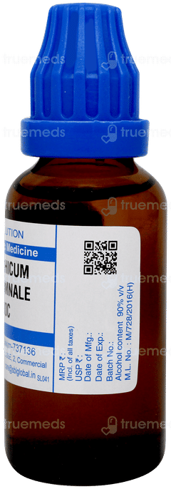 Sbl Colchicum Autumnale 30c Dilution 30ml