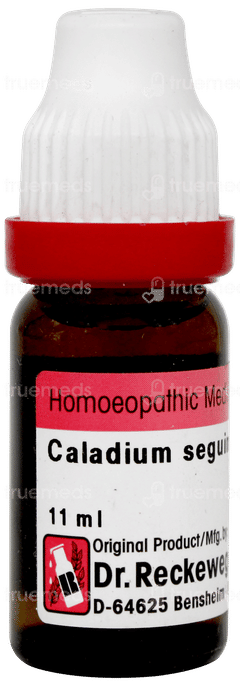 Dr Reckeweg Caladium Seguinum 1m Dilution 11ml