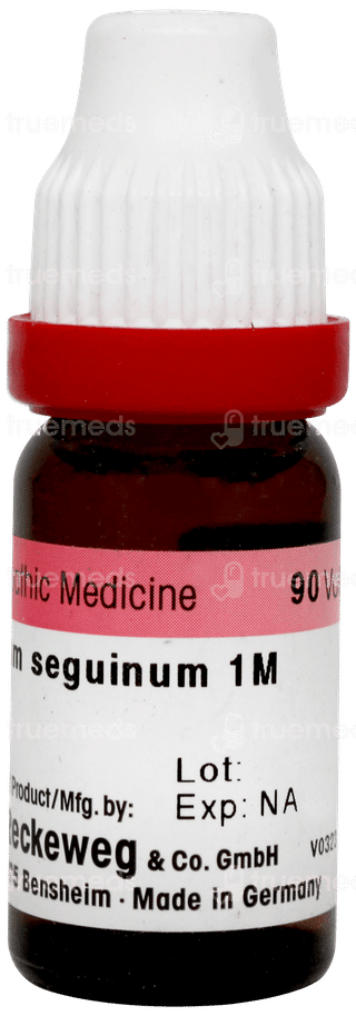 Dr Reckeweg Caladium Seguinum 1m Dilution 11ml
