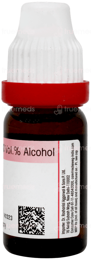 Dr Reckeweg Caladium Seguinum 1m Dilution 11ml