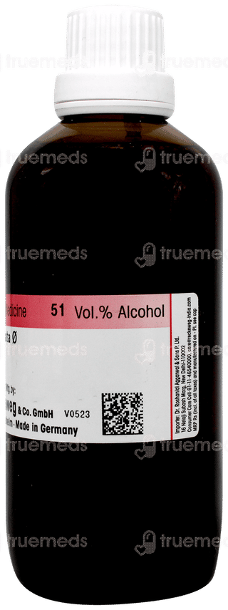 Dr Reckeweg Sabal Serrulata Q Mother Tincture 100ml