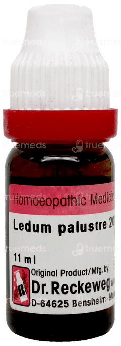 Dr Reckeweg Ledum Palustre 200 11ml Dr Reckeweg Ledum Palustre 200 11ml