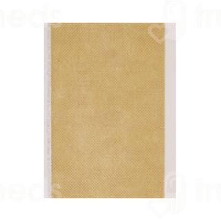 Leeford 10cm X 16cm Belladona Plaster 20