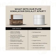 Wellbeing Nutrition Pure Himalayan Shilajit Gold Resin 20gm