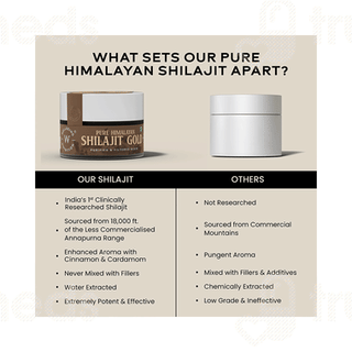 Wellbeing Nutrition Pure Himalayan Shilajit Gold Resin 20gm
