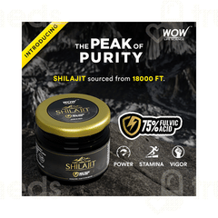 Wow Life Science Pure Himalayan Shilajit Resin 20gm