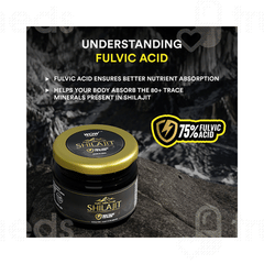 Wow Life Science Pure Himalayan Shilajit Resin 20gm