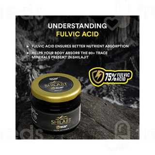 Wow Life Science Pure Himalayan Shilajit Resin 20gm