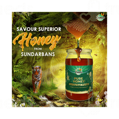 Zandu Sundarban Forest Pure Honey 500Gm