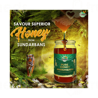 Zandu Sundarban Forest Pure Honey 500Gm