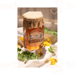 Truefarm Organic Wild Honey 500Gm