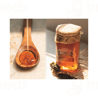 Truefarm Organic Wild Honey 500Gm