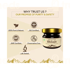 Trivang Pure Himalayan Shilajit 40Gm