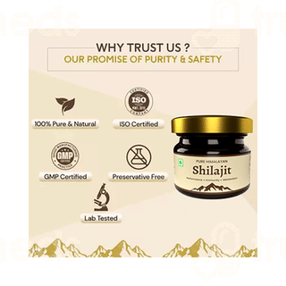 Trivang Pure Himalayan Shilajit 40Gm